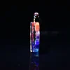 Chakra Orgonite Necklace – Balances Orgone Energy & EMF Protection